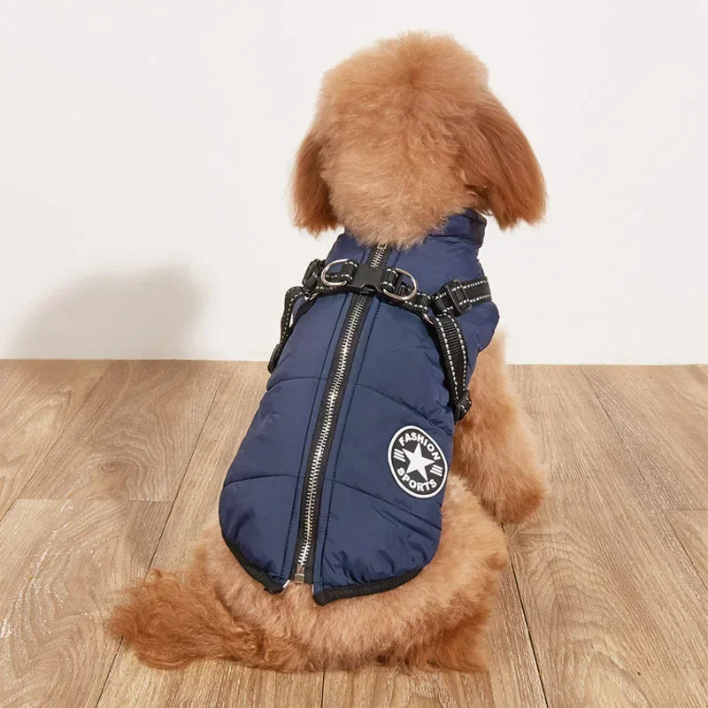 Comfortable Dog Jacket With Harness