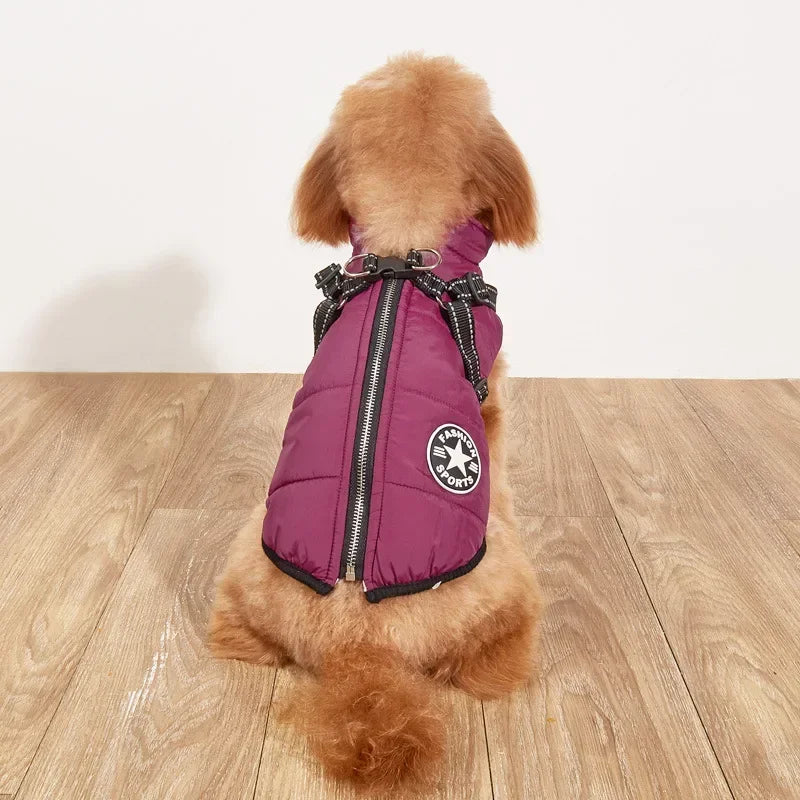 Comfortable Dog Jacket With Harness