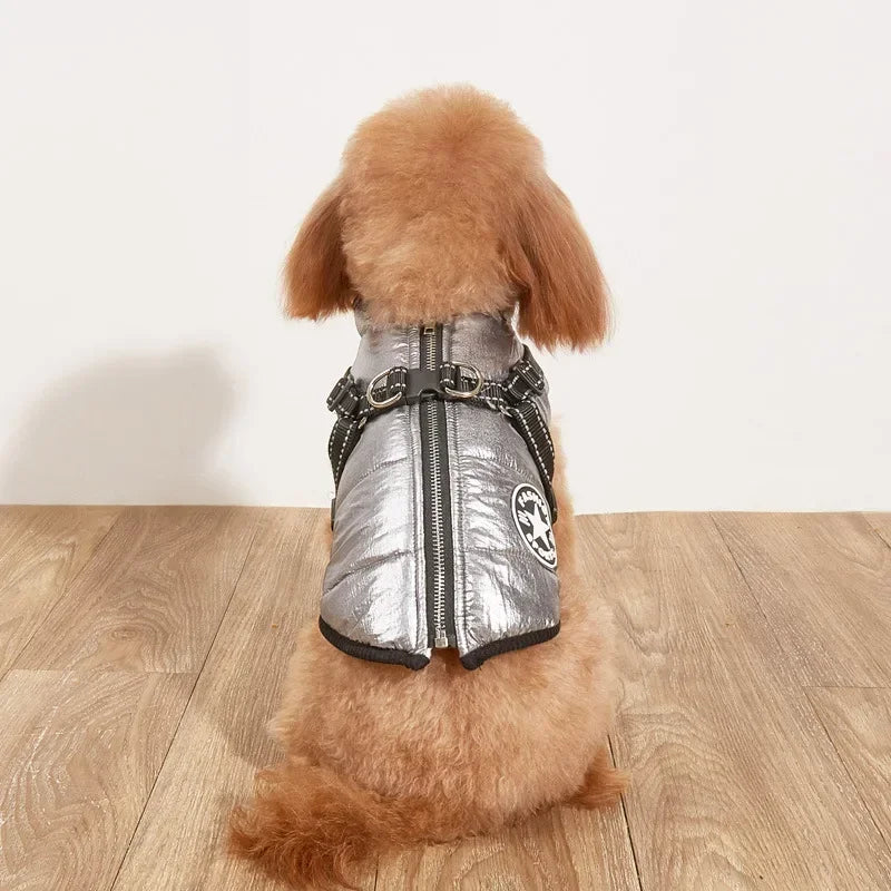 Comfortable Dog Jacket With Harness