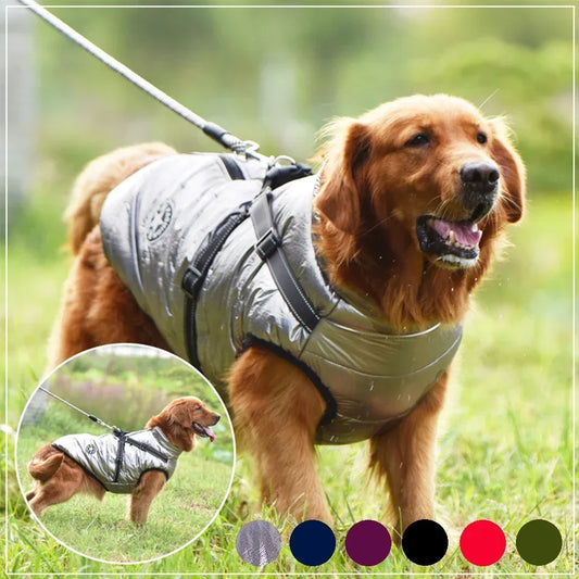 Comfortable Dog Jacket With Harness