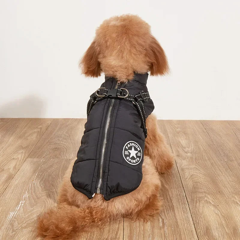 Comfortable Dog Jacket With Harness