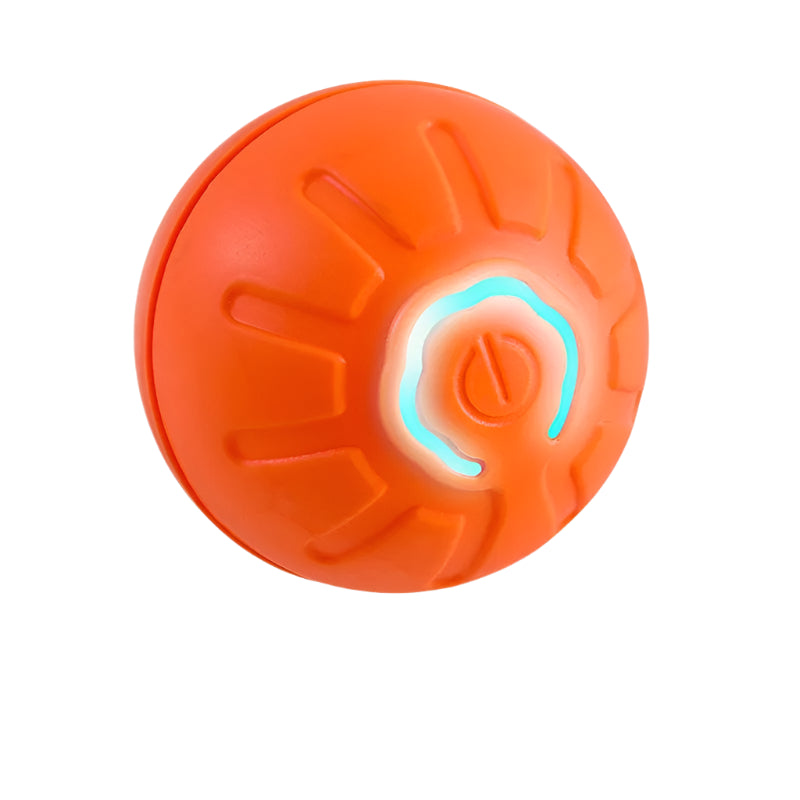 Electronic Bouncing Ball For Your Pets