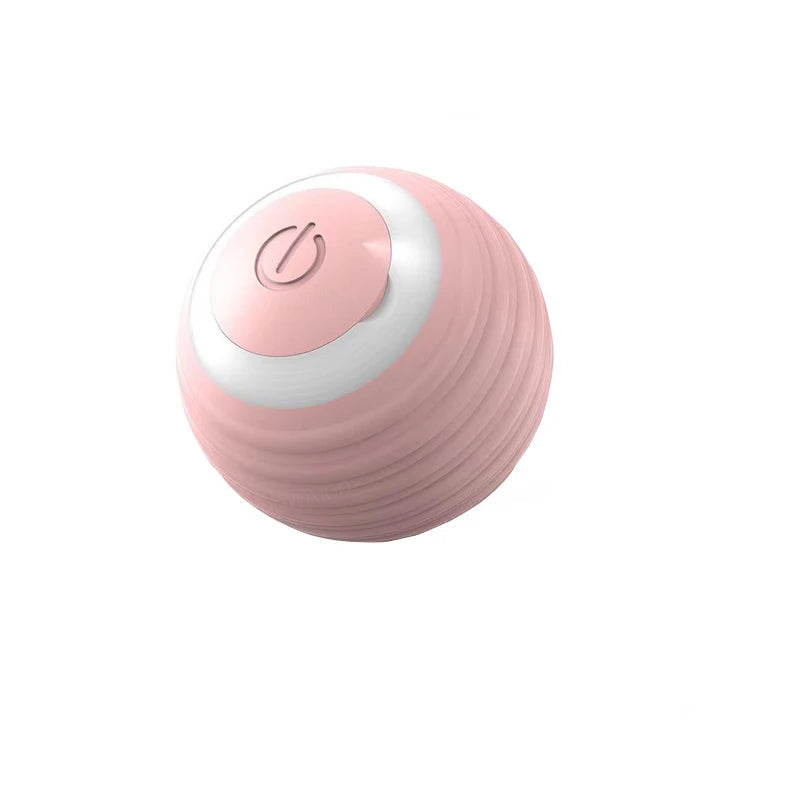 Electronic Bouncing Ball For Your Pets