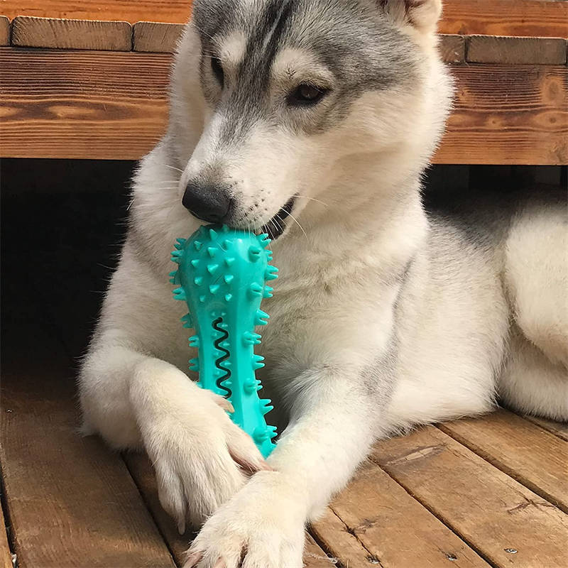 Chew Toy For All Types Of Dogs